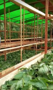 whatsapp image 2025 10 06 at 17.00.43 (1)