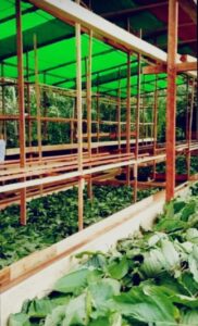 whatsapp image 2025 10 06 at 17.00.43